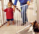 Kidco Safeway Baby Gate  (Black or White) - 24 3 4" to 43 1 2", 30 1 2" high Extensions available