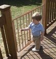 Cardinal Gates Stairway Special Child Safety Gate 27"-42 1 2"W x 29 1 2"H (Brown) for Outdoor Use 