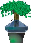 Plant Saver (Large)